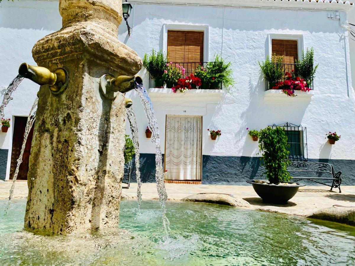 Casa Rif